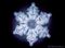 Starshine