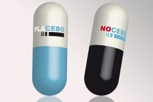 Cliquer pour agrandir