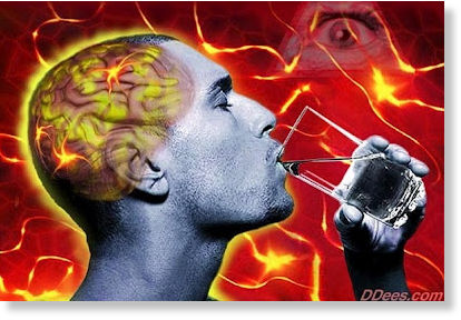 brain