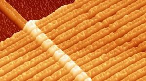 Memristor ferroelectric
