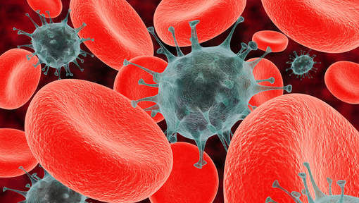 cells