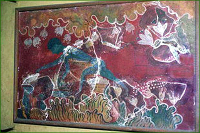 Fresque représentant la culture du Crocus sativus, découverte à Knossos, en Crête