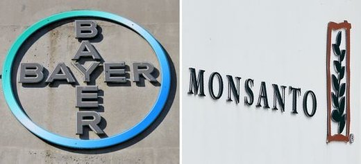 Monsanto bayer