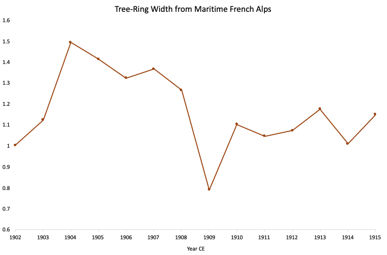 Spécimens vivants et morts de mélèzes des Alpes maritimes françaises