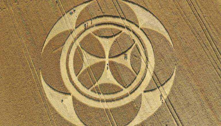 Templar Crop Circle à Vimy près de Lens