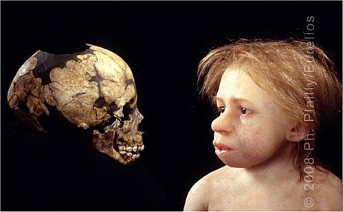 Neandertal reconstitution face