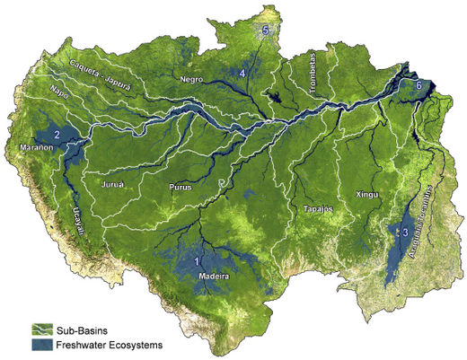 Bassin de l'Amazone map