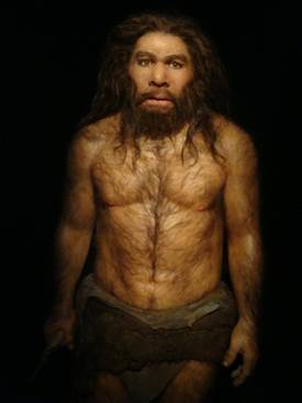 Les Néandertaliens ont vécu sur une période de 300.000 ans et ont fini par s'éteindre peu après avoir rencontré les Hommes modernes. Mais leur déclin avait commencé déjà avant la rencontre. 