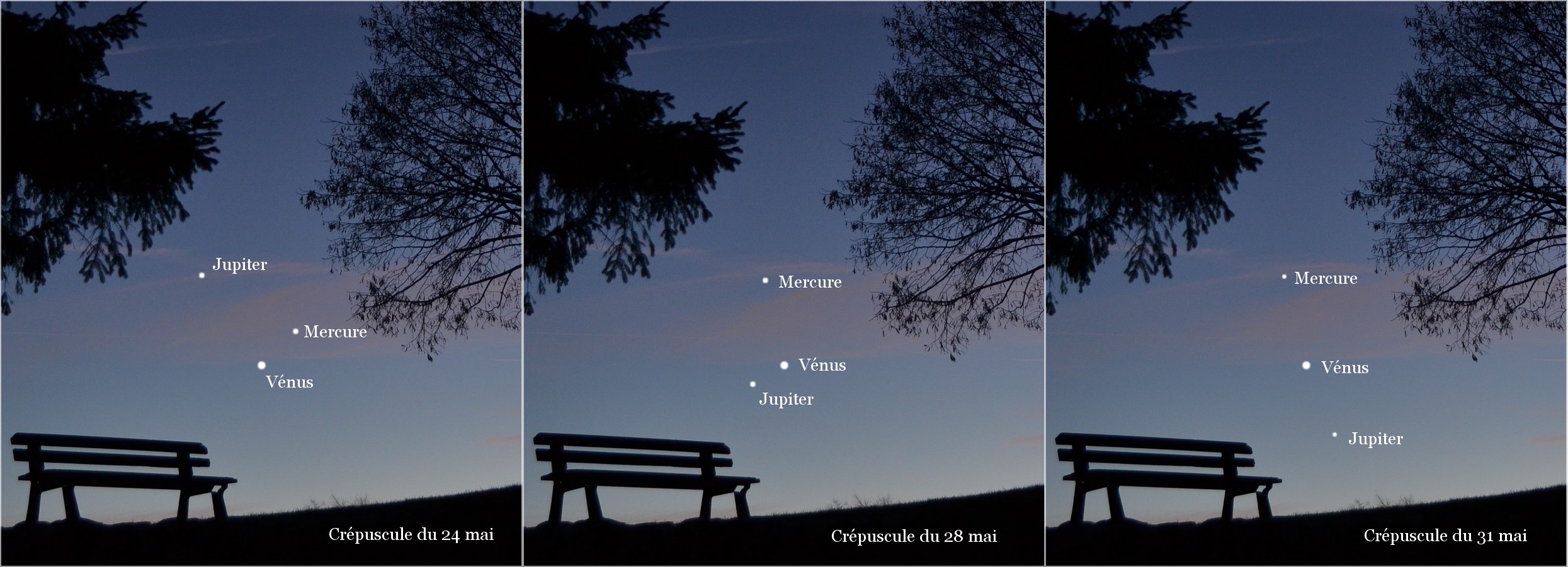 Ce montage permet de visualiser les différentes étapes du ballet planétaire qui réunira Vénus, Jupiter et Mercure dans les derniers jours du mois de mai. Un spectacle à suivre après le coucher du Soleil, au-dessus de l'horizon ouest-nord-ouest. 