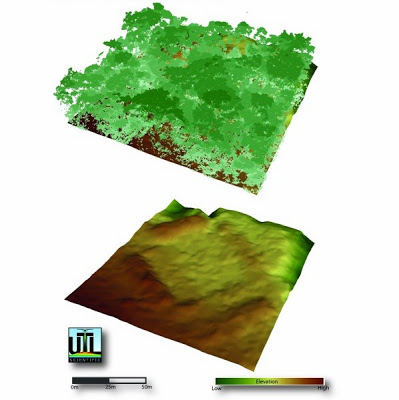 Exemple de modélisation numérique des élévations de terrain relevées par le Lidar dans la région de Mosquitia. On aperçoit un ensemble de monticules et des fondations après avoir enlevé la végétation dans l'image du dessus. 