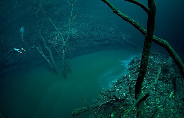 Rivière sous l'eau