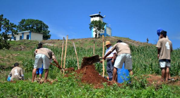 Salvador agriculture