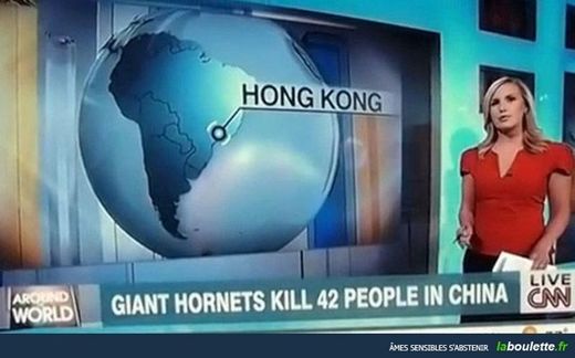 Hornets