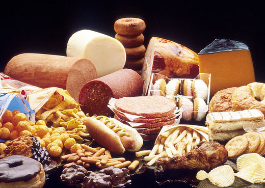Cliquer pour agrandir High Fat Foods