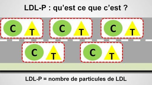 Cliquer pour agrandir Le LDL-P, qu'est-ce que c'est ?