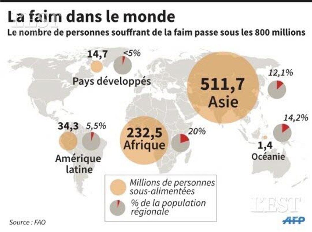Cliquer pour agrandir faim