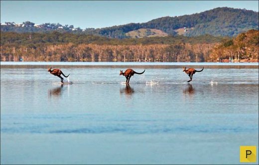 Lake Weyba