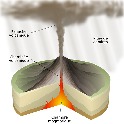 Schéma éruption volcanique type Plinien