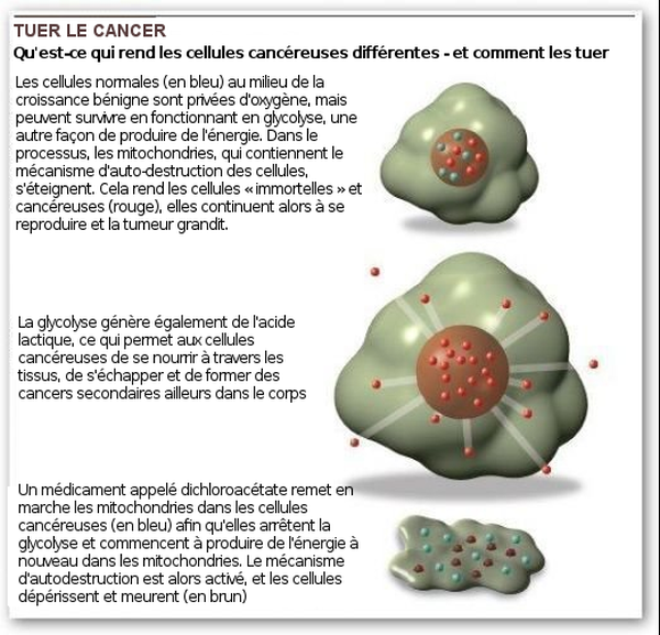 cells, cancer