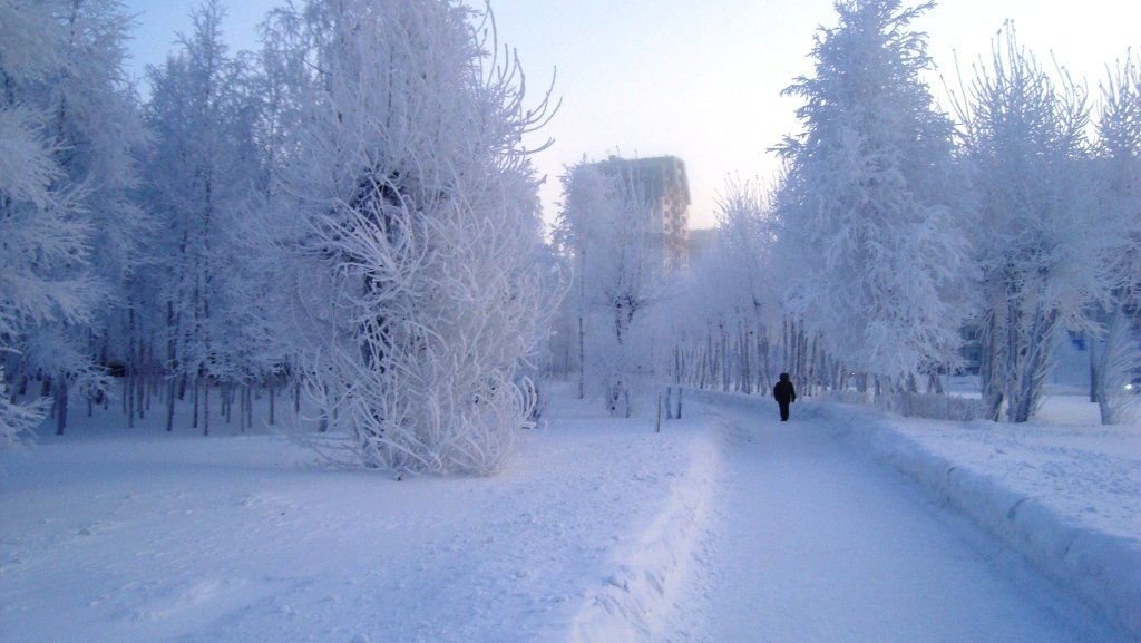 Климат в нашем городе суровый морозы начинаются. Сургут Мороз климат. Сургут зимой. Заснеженный Сургут. Суровая зима в России.