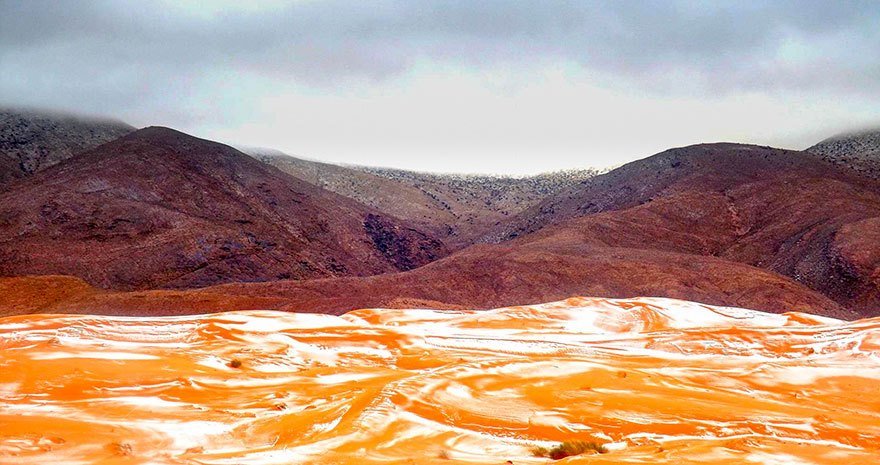 sahara