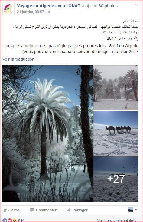 snow desert