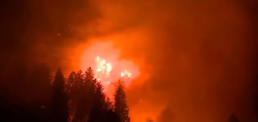 feux forêt Suisse décembre 2016