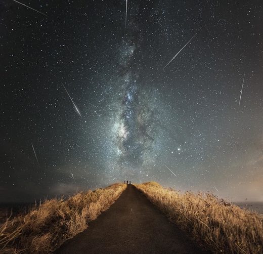 Perseids