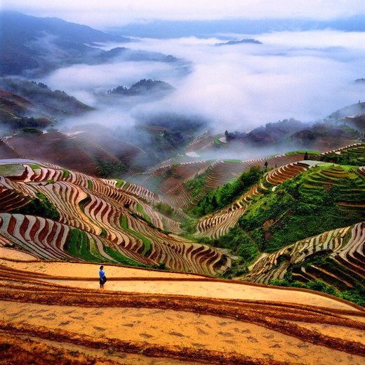 Dragon's Backbone Rice Terraces, China
