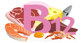 b12 vit