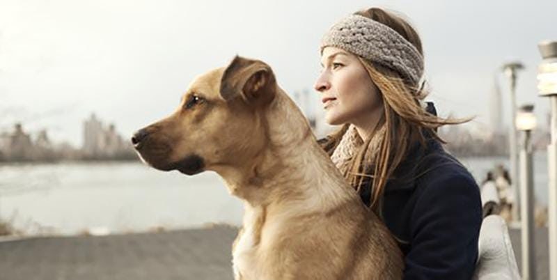 Chien femme
