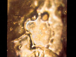 water crystal