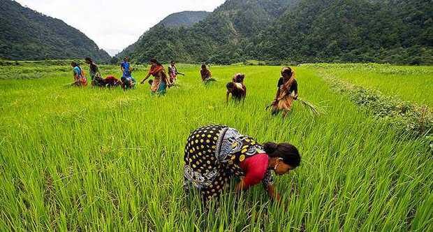 India