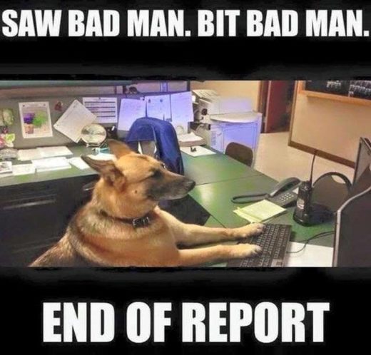Dog reporting