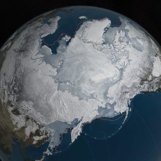 arctic sea ice