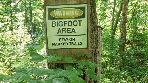 Bigfoot sign