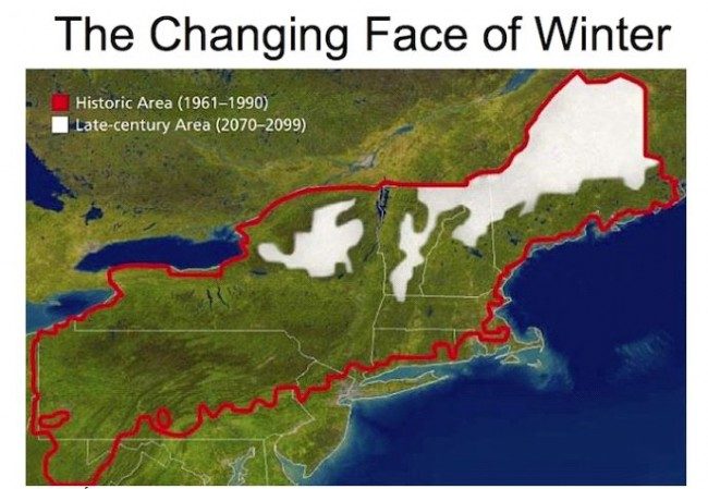 The changing face of Winter