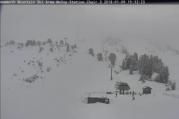 Mammoth Mountain Ski Area Webcam
