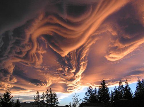 Cliquer pour agrandir Asperatus formation, Canterbury, New Zealand
