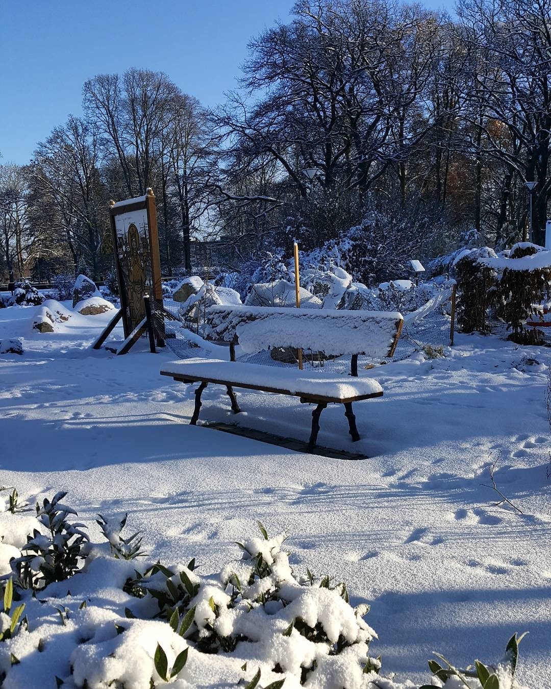 snow