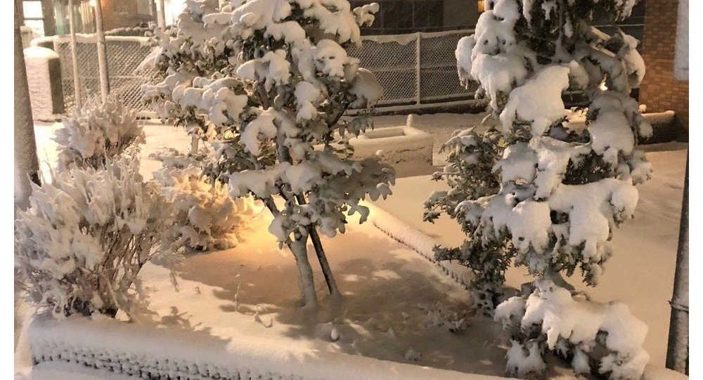 japan snow