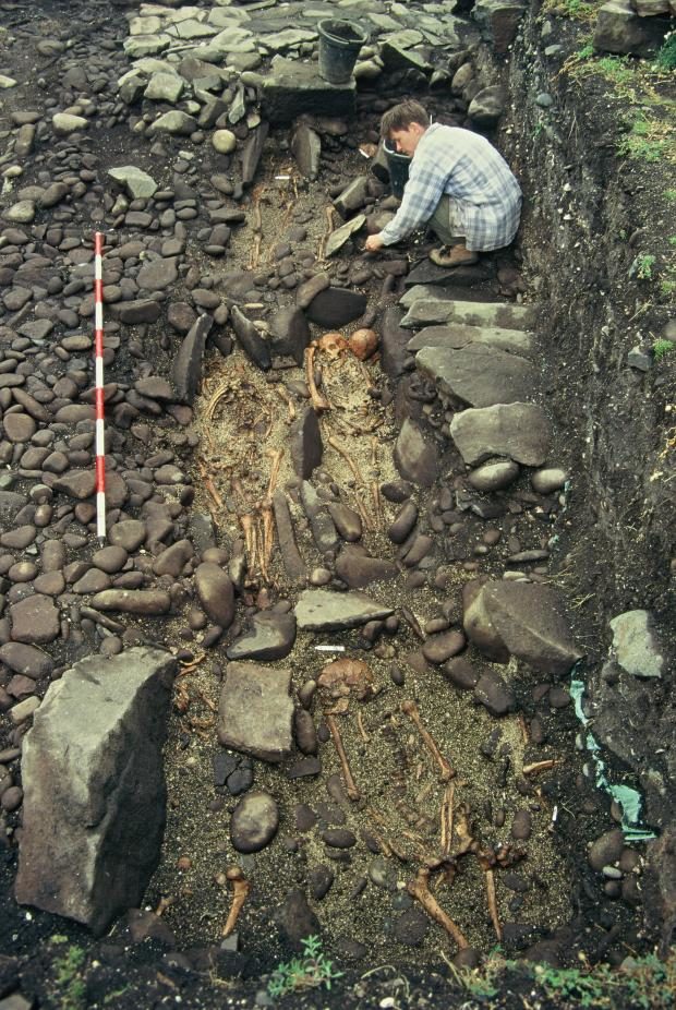 A large number of skeletal remains have been found on the Isle of May