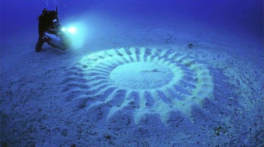 Cliquer pour agrandir Puffer fish art
