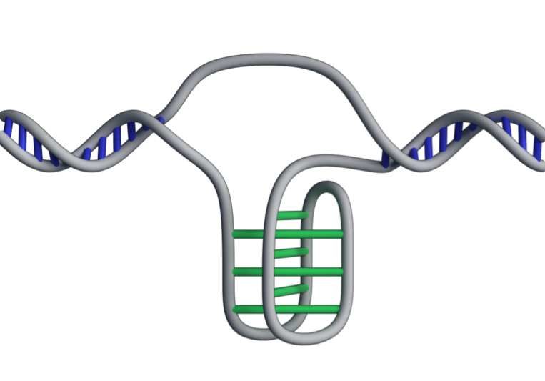 ADN i-motif