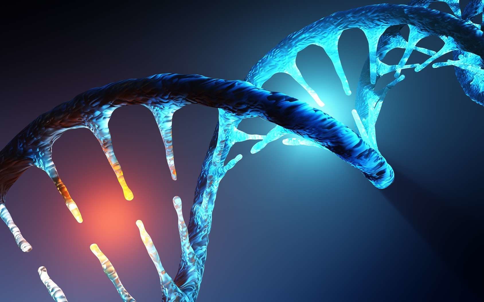 ADN : une nouvelle forme découverte dans des cellules humaines ...