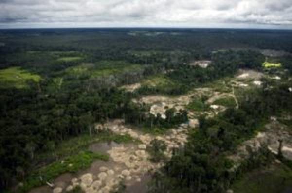Amazonie