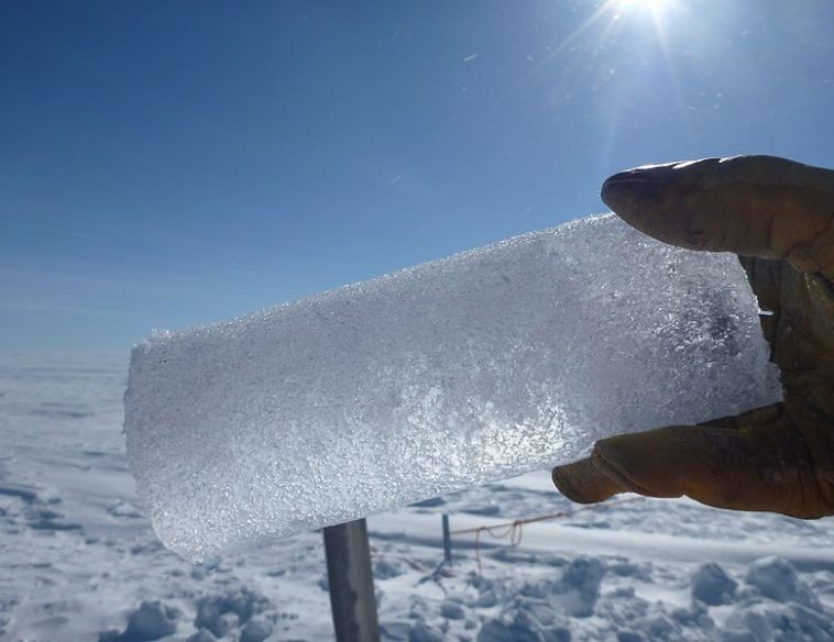 ice carrot
