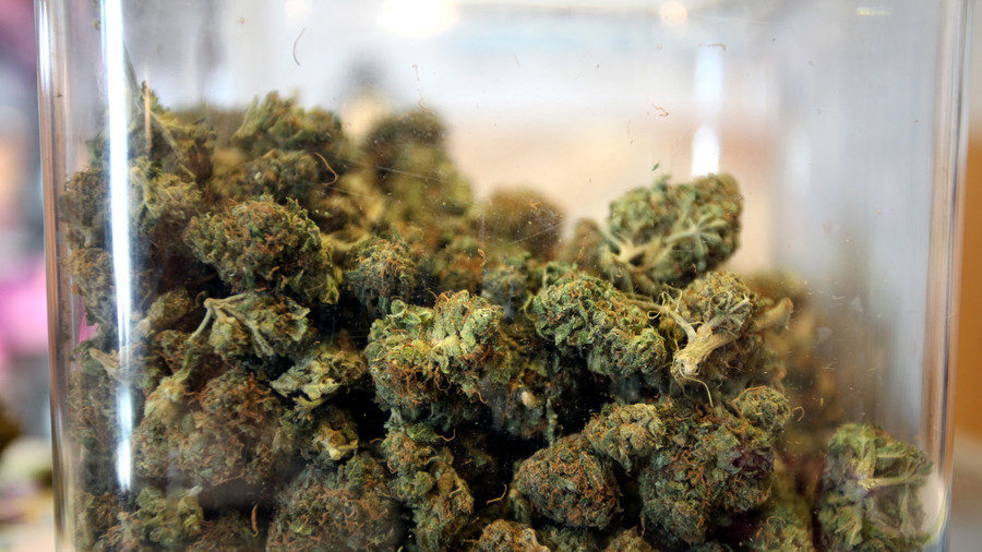 Cliquer pour agrandir Cannabis