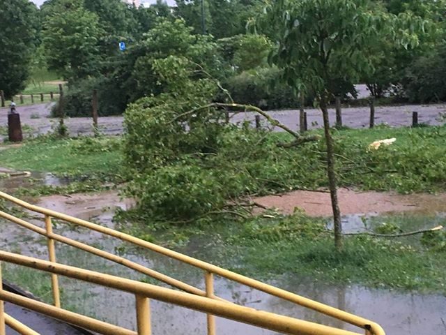 Mini-tornade sur les Champins.