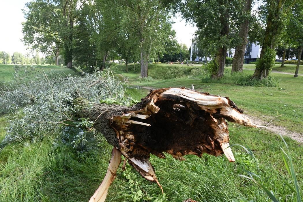 Mini-tornade sur les Champins.